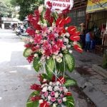 Hoa Khai Trương KT11