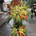 Hoa Khai Trương KT13