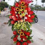 Hoa Khai Trương KT09