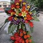 Hoa Khai Trương KT10