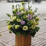 Hoa chúc mừng CM48