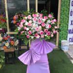 Hoa khai trương KT20