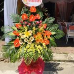 Hoa khai trương KT19